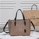 bag-coach AAA-541