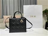 bag-dior AAA-1662