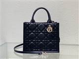 bag-dior AAA-1664