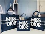 bag-dior AAA-1776