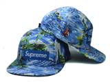 supreme hats (140)