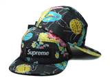 supreme hats (142)