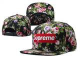 supreme hats (92)