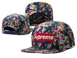 supreme hats (94)