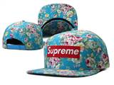 supreme hats (95)