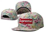 supreme hats (96)