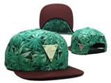 HATER Snapbacks (102)