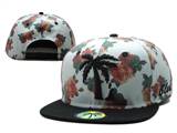 BLVD snapbacks (04)