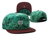 CAYLER&SONS snapbacks (42b)