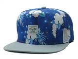 CAYLER&SONS snapbacks (43a)