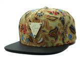 HATER Snapbacks (100a)