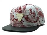 HATER Snapbacks (107a)