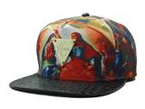 HATER Snapbacks (110a)