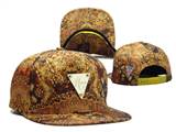 HATER Snapbacks (65)