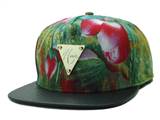 HATER Snapbacks (99a)