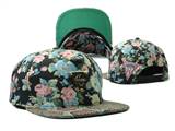 HATER Snapbacks(16)