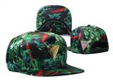 HATER Snapbacks(20)