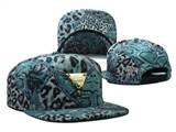 HATER Snapbacks(29)