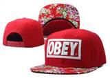 OBEY Snapbacks (87)