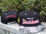 Mitchell&Ness SNAKESKIN Snapbacks (1)