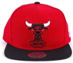 Mitchell & Ness XL-LOGO Snapbacks (21)