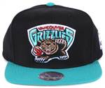 Mitchell & Ness XL-LOGO Snapbacks (25)