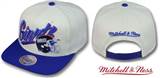 Mitchell & Ness vice Snapbacks (27)