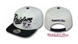 Mitchell & Ness vice Snapbacks (6)