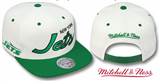 Mitchell &amp; Ness  Script Snapbacks (25)