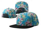 blank snapback(11)