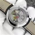 Audemars Piguet watch 170115 (24)_3971613