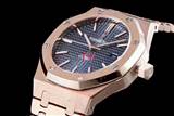 Audemars Piguet watch 170925 (48)_3971333