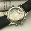 IWC watch 161109 (8)_3958688